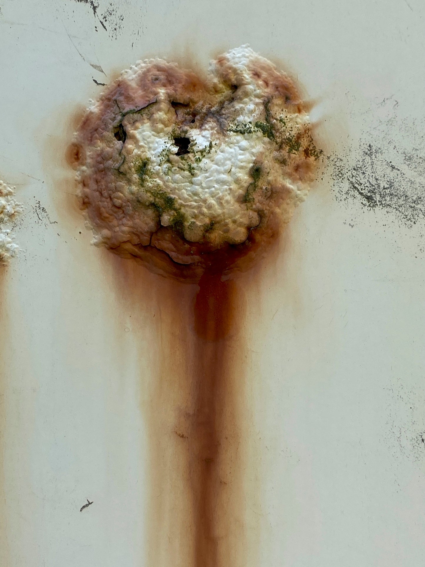 Eine fotomusikalische Erzählung: Between Trace and Shape. Der Fleck als Ursprung von Bild und Bedeutung