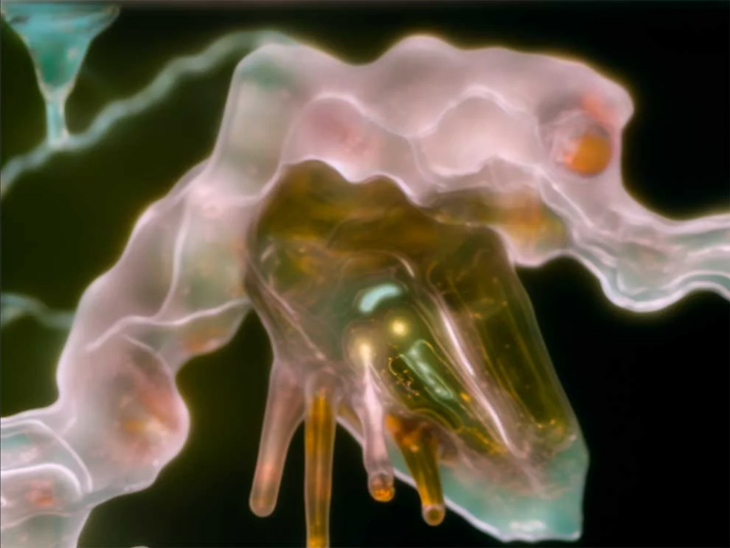 Science / Fiction - A Non-History of Plants