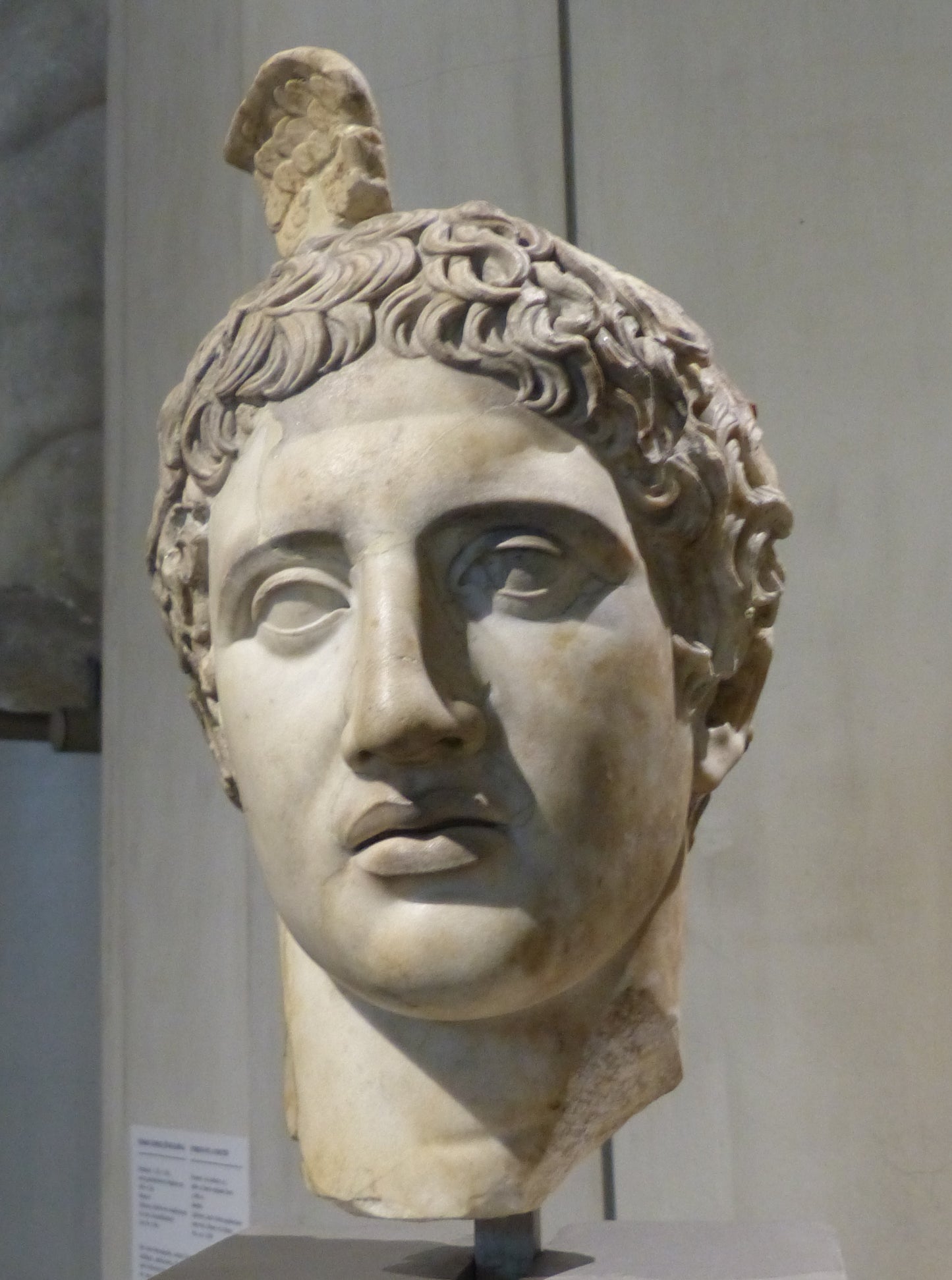 Ephesos – Weltstadt der Antike. Eine Einstimmung auf die Sonderausstellung Tatort Ephesos