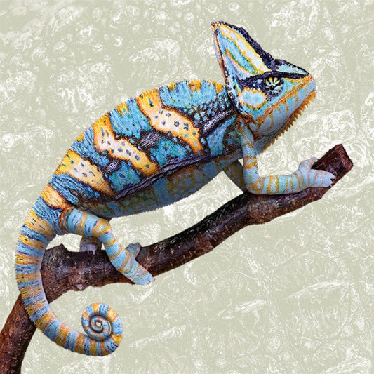 Lurch raus – Schuppen ab. Amphibien und Reptilien in neuem Glanz