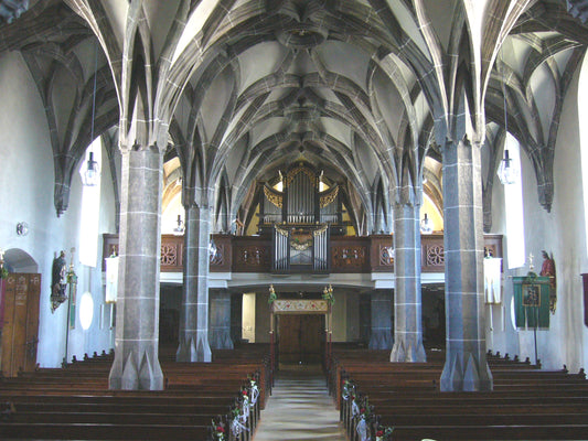 Architekturgeschichte Österreichs VIII: 1500–1525: spätgotische Schlingrippengewölbe und erste Werke der Renaissance